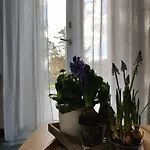 Mirelisa Casa