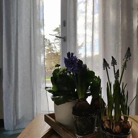 Mirelisa Casa